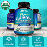 NutriFlair Organic Irish Sea Moss 1600mg, 120 Capsules Plus Bladderwrack & Burdock - Prebiotic Super Food - Immune System & Digestive Health - Thyroid, Healthy Skin, Keto Detox, Gut