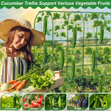 Cucumber Trellis for Raised Bed 51 x 50 Inch U-Shape Garden Trellis for Climbing Plants Outdoors Metal Garden Cucumbers Arch Trellis, Cucumber Plant Support for Tomato, Pea, Zucchini, Vine Flower