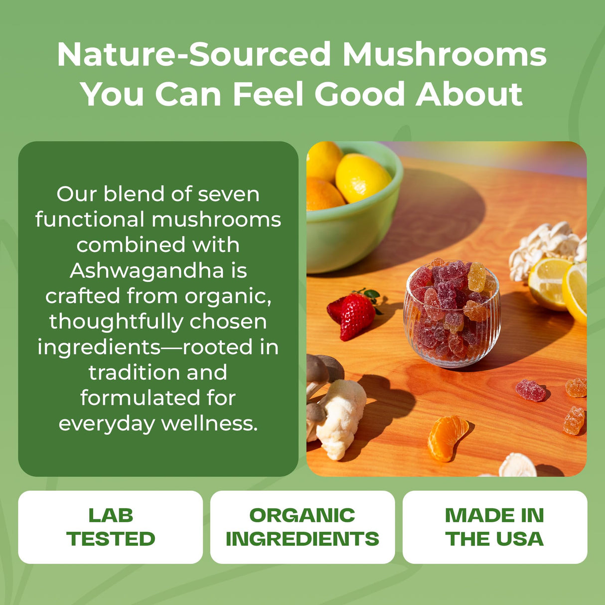 2 Pack Ashwagandha and Lions Mane Mushroom Supplement Gummies - Organic - Reishi, Cordyceps, Turkey Tail, Maitake, Shitake, Chaga - Immune Defense, Boosts Cognitive Performance, Vegan, Low Carb