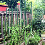 NANOPRETTY Garden Stakes 58 Inch Approx 5FT Plant Stakes for Outdoor Plants Tomato Stakes for Gardening 0.43 inch Diameter Plant Sticks Support Climbing Plants, Pack of 50