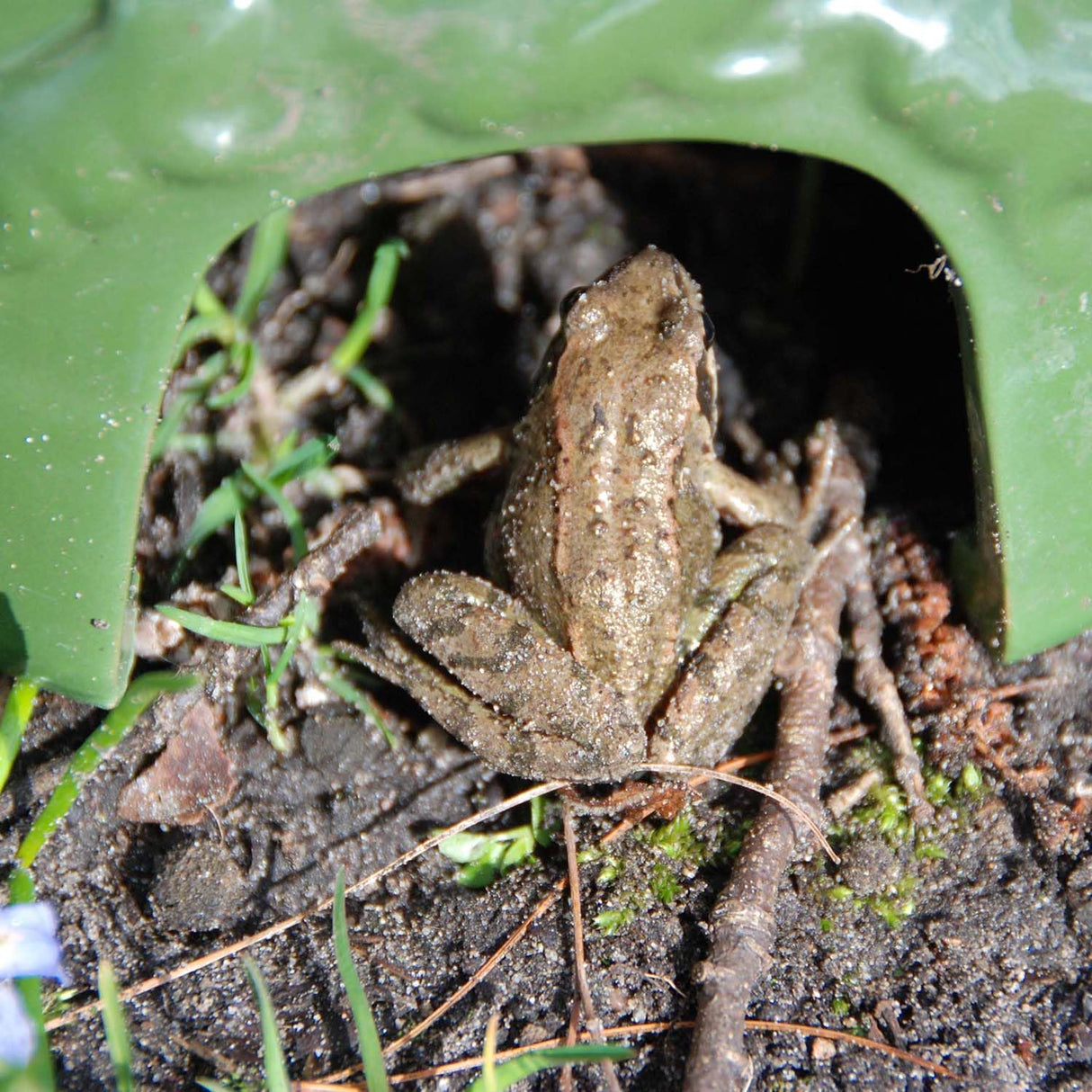 Esschert Design Toadhouse