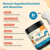 Sandhu's Grass Fed Bovine Colostrum Powder for Humans, Adults | 65 Servings (Pack of 1) Cows Supplement | High IgG for Gut Health | Immunity & Muscle Recovery Support | Unflavored | for Men & Women