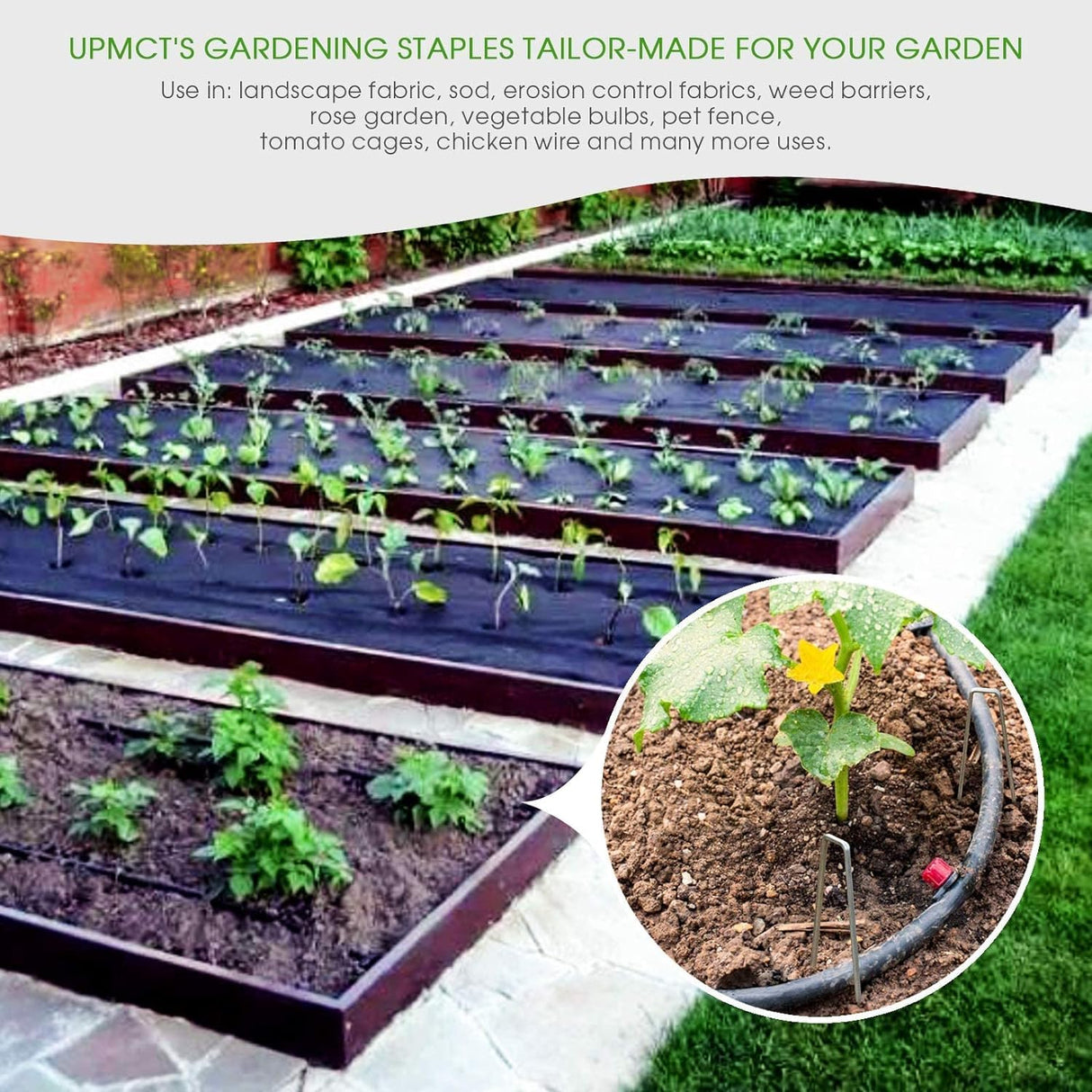 UPMCT 12 Inch Galvanized Garden Landscape Staples Stakes, 25 50 100 PCS Anti-Rust Garden Staples Tent Ground Stakes U-Shaped Landscape Pins for Secure Lawn Fabric, Decoration (50, 12 Inch)