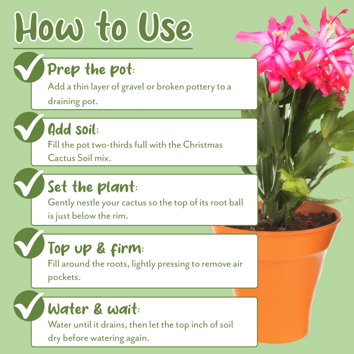 Soil Sunrise Christmas Cactus Potting Soil Mix (8 Quarts) Custom Blend for Xmas, Easter, and Thanksgiving Cactus Tropical Indoor Houseplants