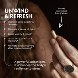 TRIBE ORGANICS Vegan Ashwagandha KSM 66 Pure Organic Root Powder Extract Ayurvedic Supplement - Focus Mood Support Increase Energy Strength 600mg of Natural KSM66 for Superior Absorption - 90 Capsules