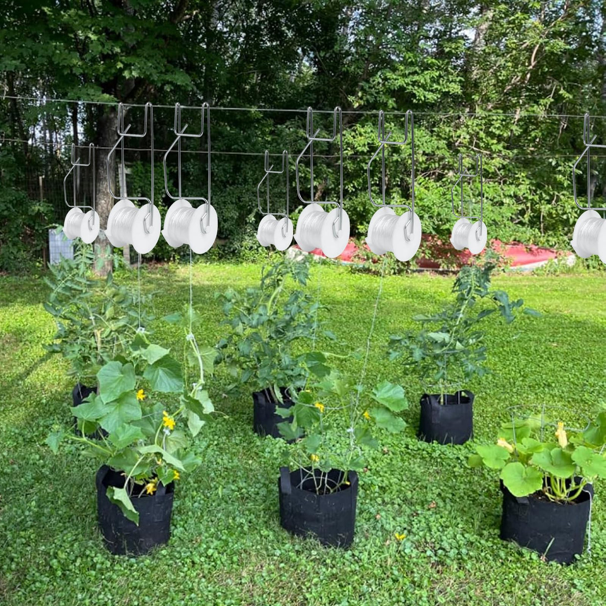 Hidbot Tomato Support Hooks with String 20 Pcs,100 Pcs Plant Support Clips for Climbing Plants,Tomato Trellis Roller Hooks with 49.2FT String,Reusable Grape Vine Clips to Prevent Tomatoes