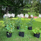 Hidbot Tomato Support Hooks with String 20 Pcs,100 Pcs Plant Support Clips for Climbing Plants,Tomato Trellis Roller Hooks with 49.2FT String,Reusable Grape Vine Clips to Prevent Tomatoes