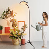 FECiDA 2026 Grow Lights with Upgraded Stand, Standing Grow Lights for Indoor Tall Plants, Bonsai Tree, 4/8/12/16/20 Hr Timer, 25 Watt Power Draw, NO Need Adapter, 24"-76" Height Adjustable
