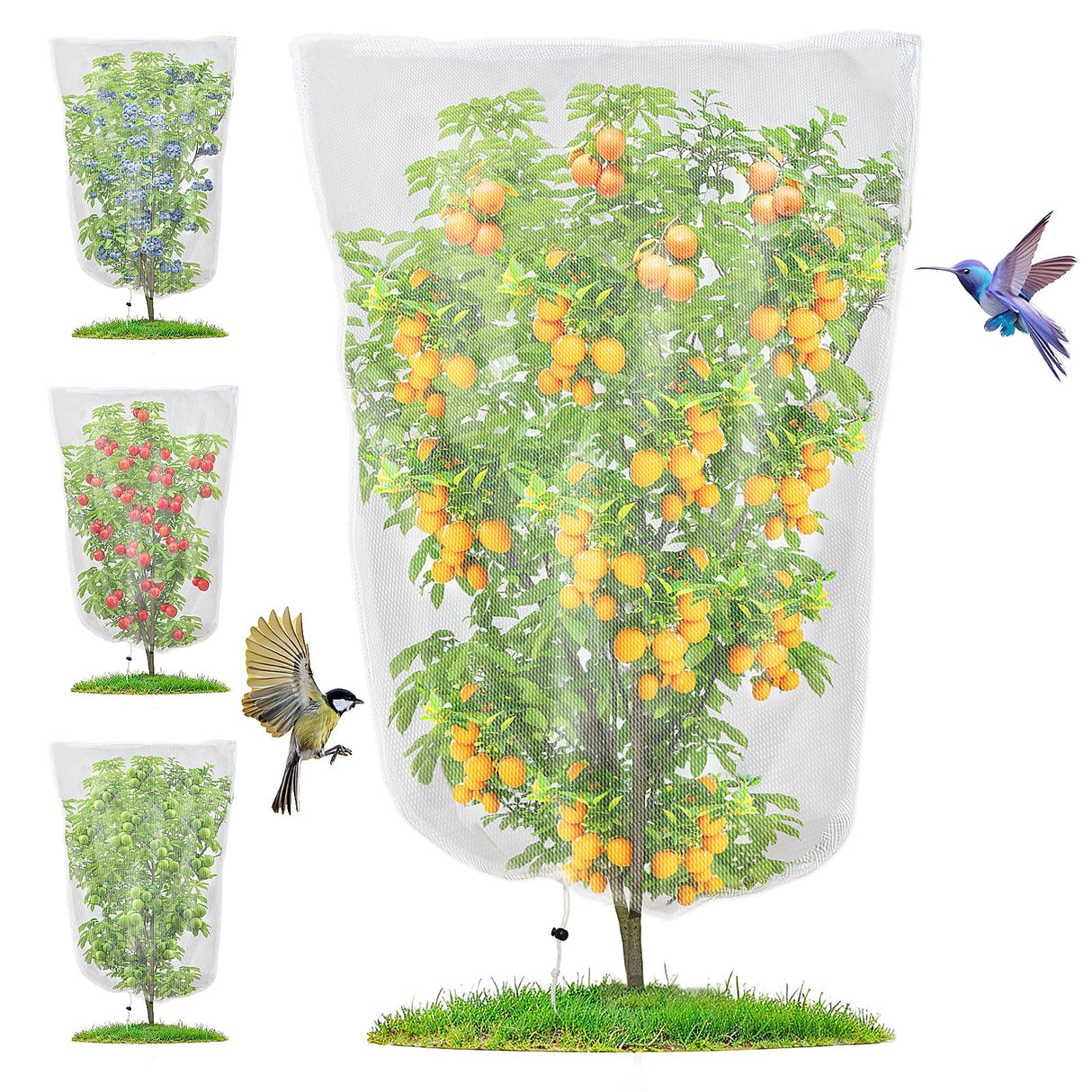 4PCS Insect Bird Barrier Mesh Blueberry Bush Netting Cover Bird Netting