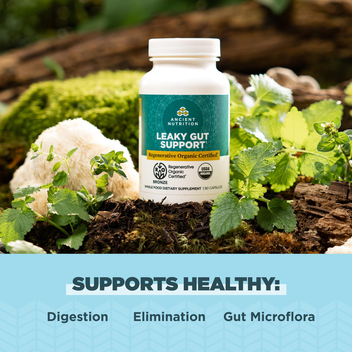 Ancient Nutrition Gut Health Supplement, Regenerative Organic Certified Leaky Gut Capsules, Formulated with Lion’s Mane, Fermented Licorice Root and Spearmint, Gluten Free, Paleo and Keto Friendly, 90