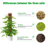 Bonviee 4-Pack 15-Inch Plastic Moss Poles for Monstera & Climbing Plants - Stackable to 60 Inches, Includes Sphagnum Moss & Garden Ties for Indoor Plant Support