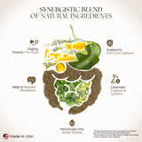 Dr Clark Superblend Wormwood Capsules - Vegetarian 330 mg, 100 Capsules - Wormwood Herb Without Artificial Preservatives, Wormwood Combination with Quassia