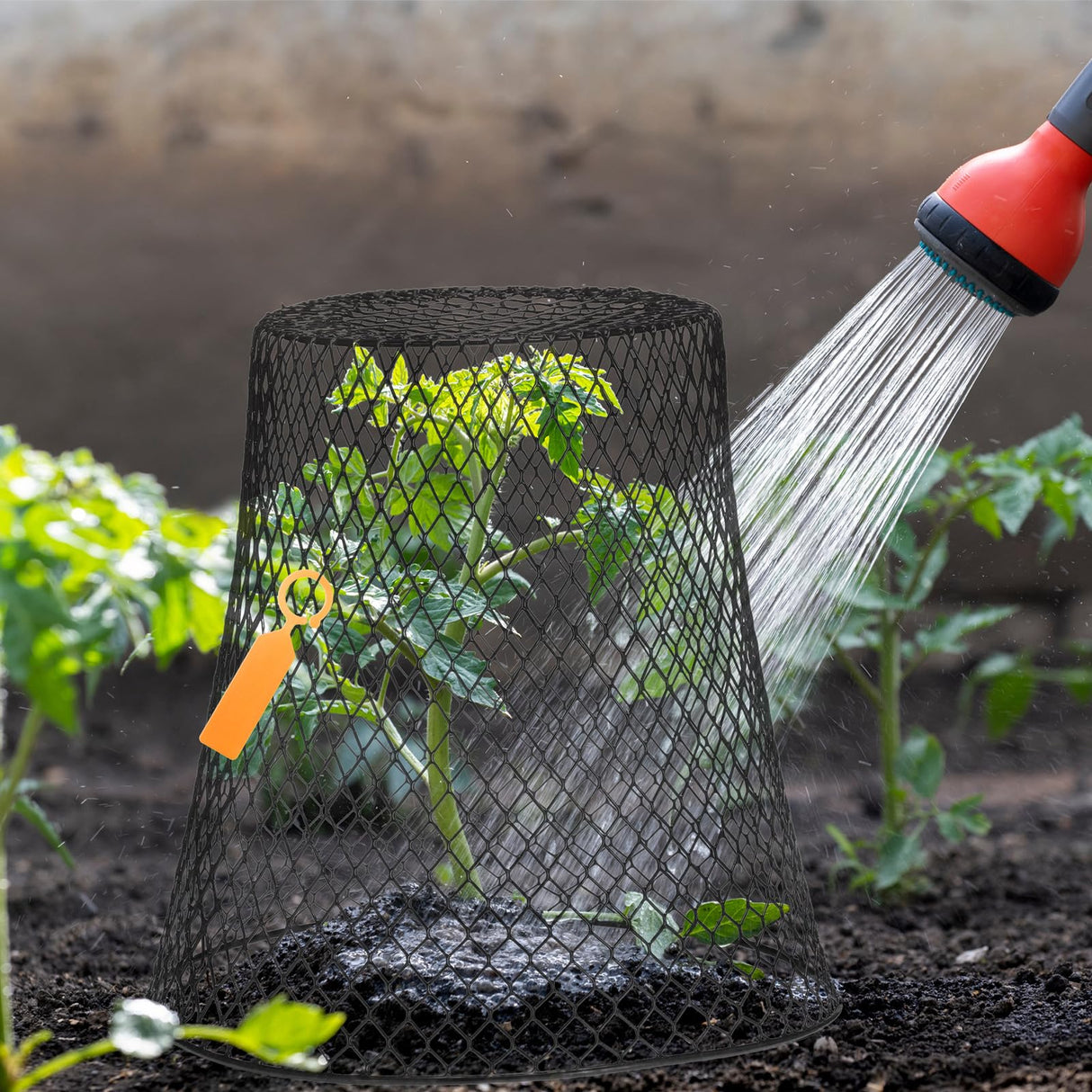 Geosar 10 Pcs 9 inch Chicken Wire Cloche Plant Protector Cover Metal Garden Cloche Dome for Plants Chicken Wire Protection Basket with Garden Stakes for Avoiding Rabbit Bird Small Animals Eat (Black)