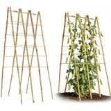 2 Pack 47''x18'' Bamboo Trellis for Climbing Plants Outdoor, Oltara A-Frame Foldable Garden Trellis for Cucumbers, Raised Beds, Tomatoes, Beans, Vegetables & Flowers Support