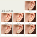 Gilded 1/4 Carat Total Weight Lab-Grown Diamond 10KT Yellow Gold Stud Earrings for Women| Hypoallergenic Fine Gold Jewelry | 4-Prong Basket, Push Back Nut | SI1 Clarity, F Color, Round Cut