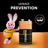 Duracell - Batteries 9 V Plus, Pack of 2, 6LR61 MX1604, Black, Lot de 2