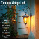 GvvooHome LED Edison Bulbs Dimmable, E26 Bulb 60 watt Equivalent, Soft White 2700K, ST58 Vintage Light Bulbs, 90+ CRI, 6W 600LM, E26 Medium Base, Clear Glass, 10 Pack