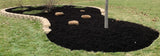 Peach Country Mulch Dye Midnight Black Quart, Mulch Paint Concentrate for Pump Sprayer Coverage Up to 2,800 Sq Ft, Water Based Landscape Color Restorer