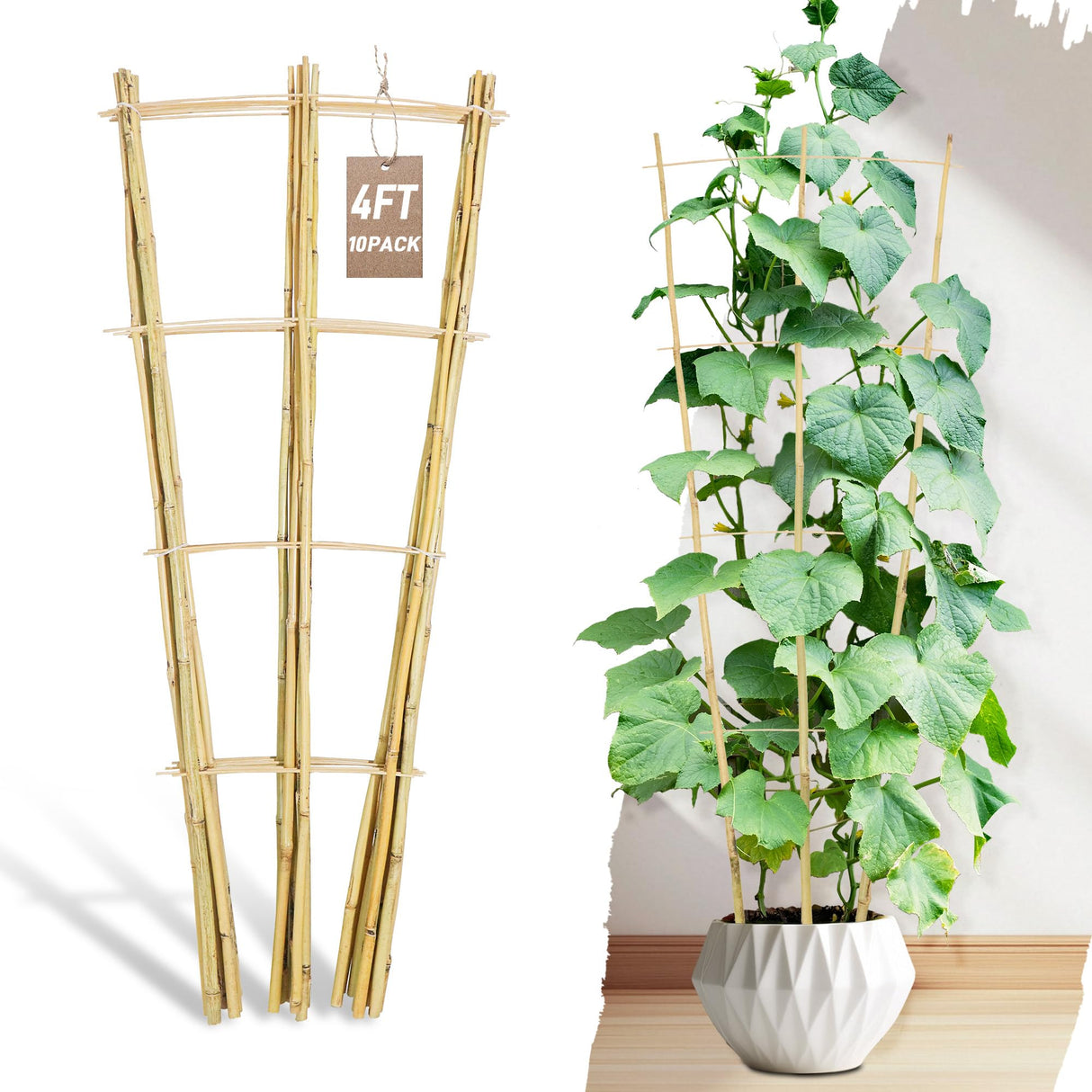 Avalution 10 Pack Bamboo Trellis for Climbing Plants, 4 FT Garden Ladder Trellis for Potted Plants Indoor, Fan-Shaped Small Plant Support Trellis for Houseplants Ivy Hoya Vine Monstera