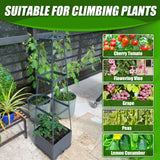 Biotolot 2 Packs Raised Garden Bed Tomato Planter Box with Trellis,44.8" Self-Watering Tomato Cage with Trapezoidal Trellis for Climbing Plants Flowers Vegetables Vine in Patio Garden Indoor Outdoor