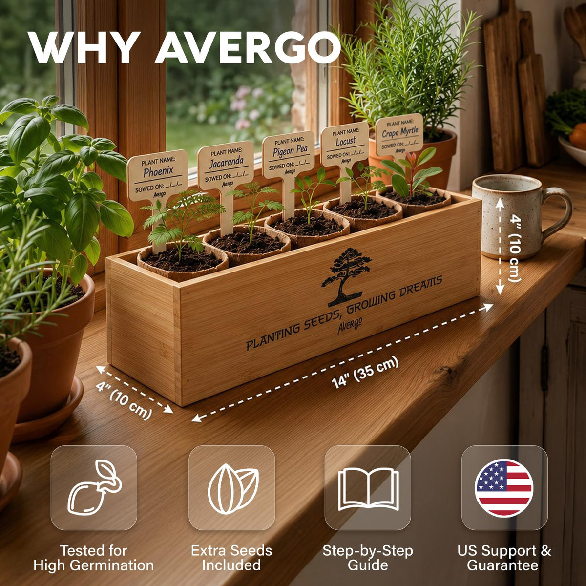 Bonsai Tree Kit Deluxe - Growing 5 Unique Japanese Bonzai Trees