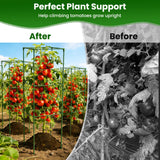 3 Pack Tomato Cages, 48'' Tall Tomato Plant Stakes Support for Raised Garden Bed Tomato, Square Trellis Cages for Garden Climbing Vegetables Flowers Fruits