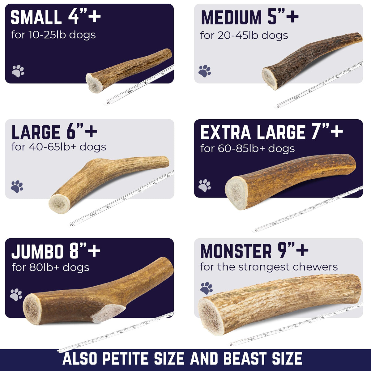 Devil Dog Pet Co Whole Elk Antlers for Dogs, Medium, Aggressive Chewers