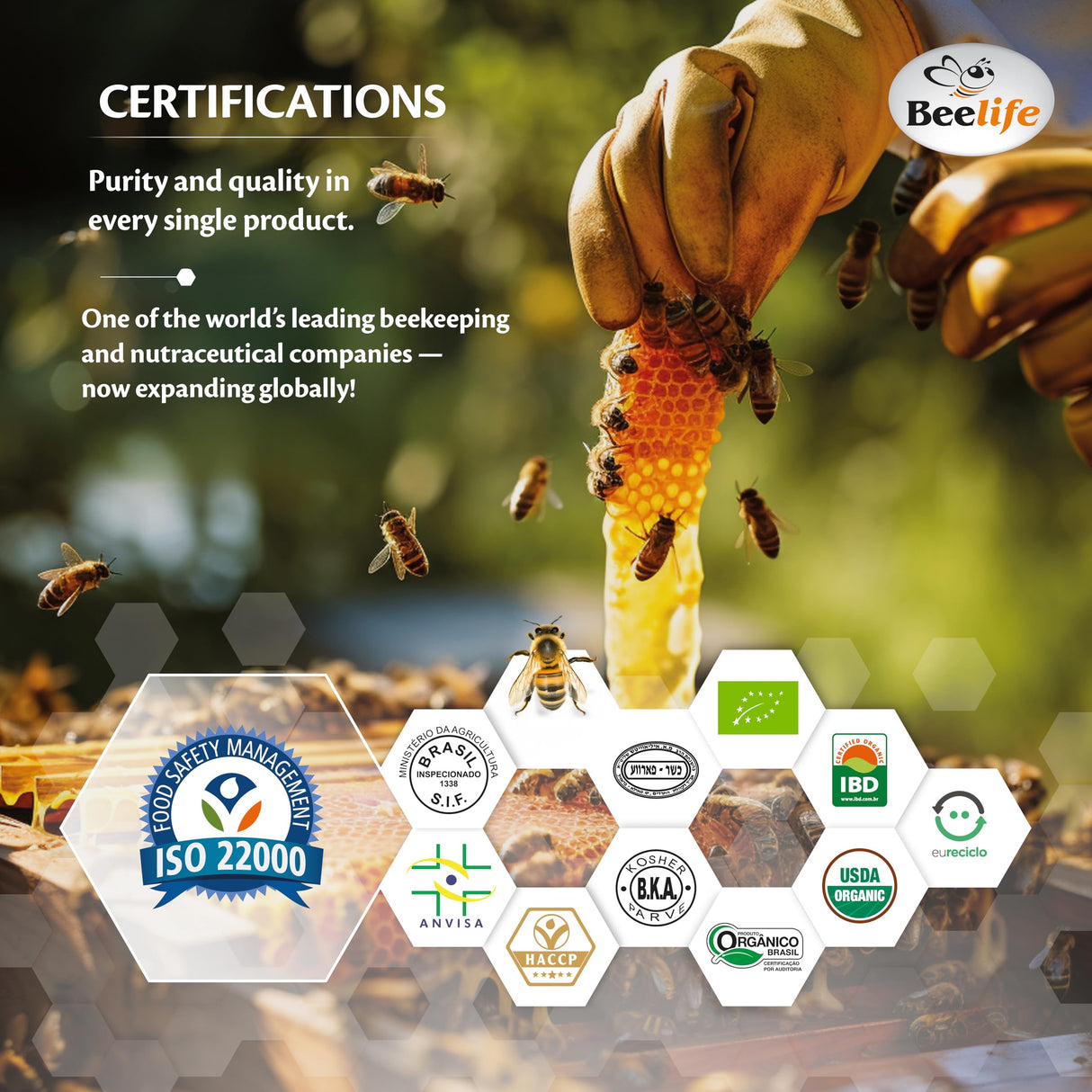 Beelife Organic Brazilian Green Propolis Extract - High Artepillin-C Levels, Antioxidant-Rich Supplement for Overall Wellness - Natural & Kosher- Organic Green Propolis Tincture, 1 Fl. Oz.