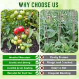Fabulas Garden Stakes 4Ft, 28 Pack 48 Inch Plant Tomato Stakes and Supports Sturdy Plastic Coated Metal Garden Support Stick for Outdoor Indoor Climbing Plants, Beans, Vegetables, Trellis, Tree