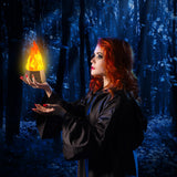 Ollcuz LED Flame Lights, Rechargeable Battery Flameless Candles, Fake Fire with Flickering Flame, LED Night Light for Kids Bedroom Outdoor Camping Party Bar Table Christmas Decorations, 2 Pack