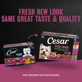 Cesar Wet Dog Food, Steak Lovers Variety Pack, 3.5 oz, 36 count