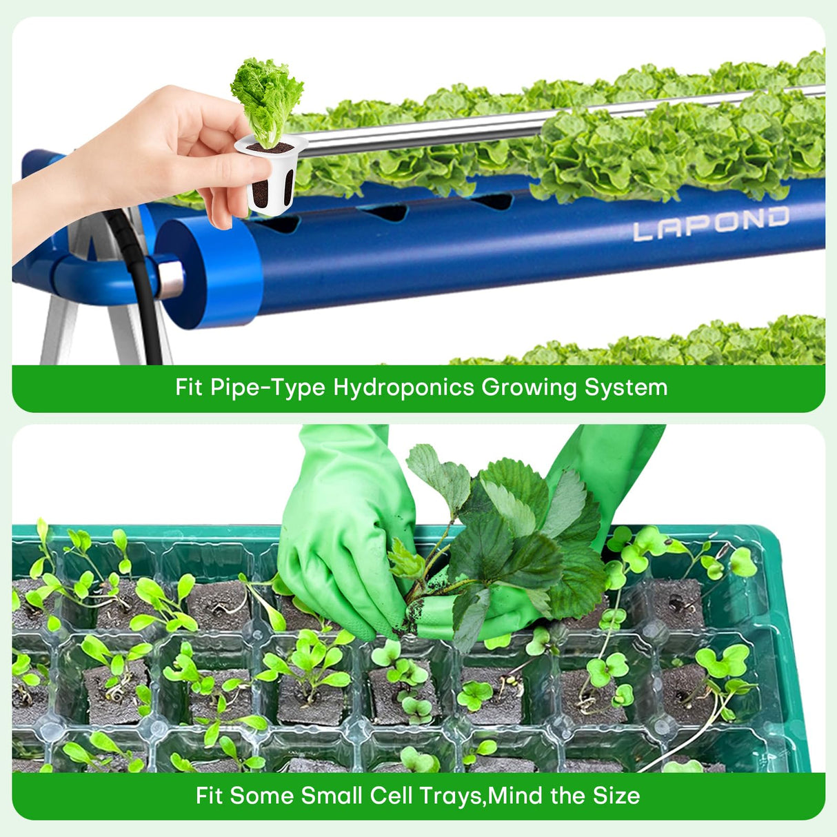 LAPOND 100 Pack Grow Sponges, Replacement Root Growth Sponges Seed Pods,Seed Starter Plugs for Hydroponic Indoor Garden System
