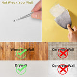 Pointool Picture Hanging Kit, Extra Thick, 100lb 50lb 30lb, Heavy Duty Plaster Wall and Drywall Large Hangers and Hooks Hardware for Painting and Frame to Hang on, 160pcs Silver with Nails
