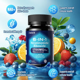 molorik NAD+ Supplement, Nicotinamide Riboside 1700mg, with Trimethylglycine, Trans-Resveratrol, Vitamin C, Niacinm(B3), Supports Anti-Aging, Cell Repair, Healthy Skin, Vitality - 60 Capsules