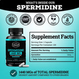 Spermidine Supplement (1440mg of 99% Pure Spermidine Supplements For Women & Men) 4 Months Supply (100X More Potent Than Wheat Germ Extract) 12MGS Per Serving For Cellular Health, Anti-Aging & Energy