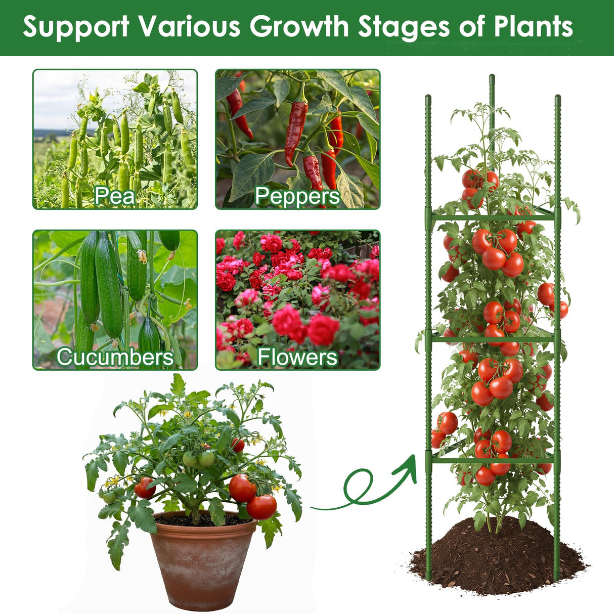 CEWOR 3 Pack Tomato Cage, 51.2 Inch Tall Adjustable Tomato Trellis