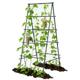AlisisFores A-Shape Garden Trellis for Climbing Plants, Black