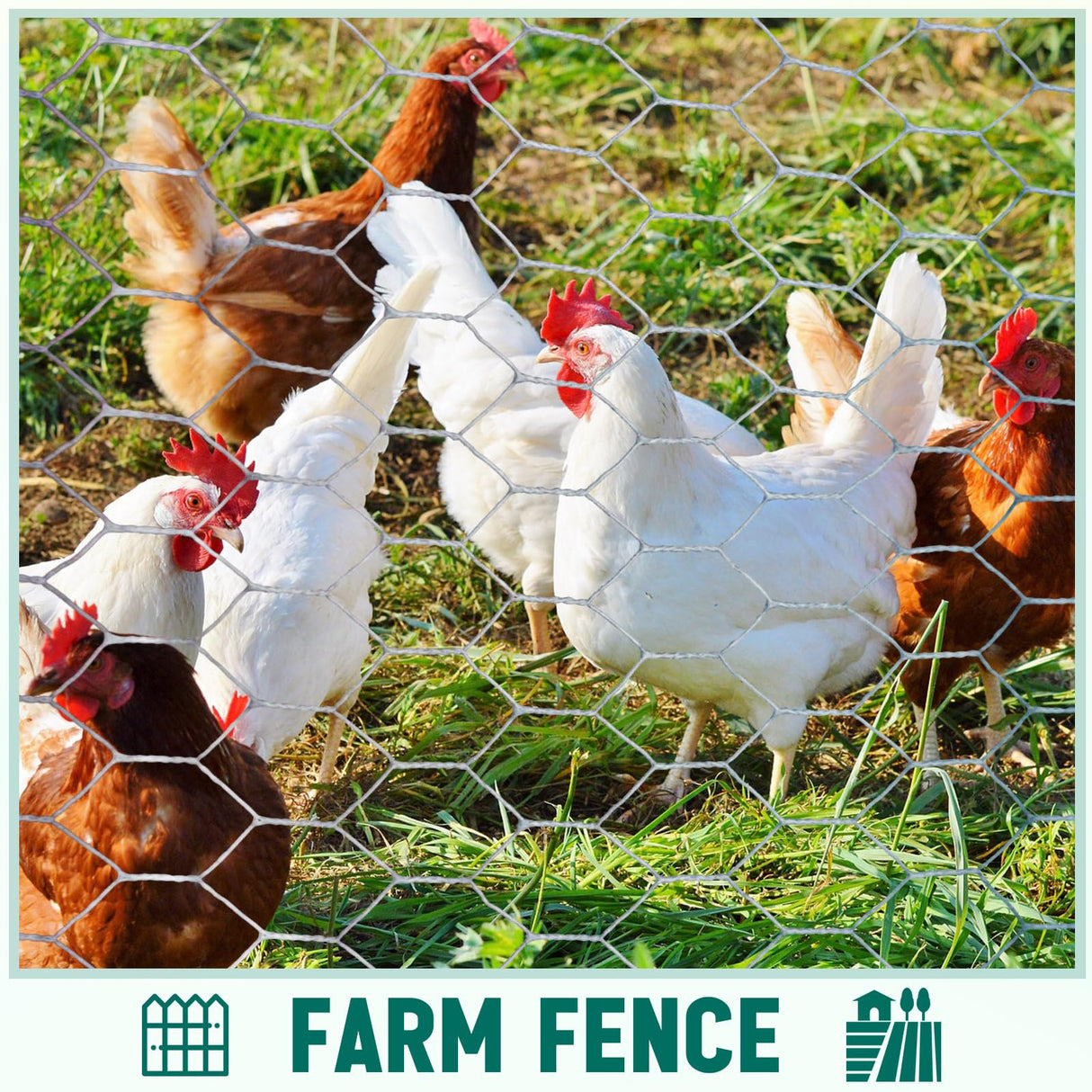 GlikCeil 48 in X 200 ft Chicken Wire Fencing Metal Floral Chicken Wire Mesh for Crafts Poultry Garden, 1 Inch Hexagonal Galvanized Hardware Cloth Netting for Poultry Coop Barrier Rabbit Cage(Silver)