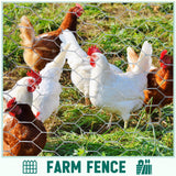 GlikCeil 48 in X 200 ft Chicken Wire Fencing Metal Floral Chicken Wire Mesh for Crafts Poultry Garden, 1 Inch Hexagonal Galvanized Hardware Cloth Netting for Poultry Coop Barrier Rabbit Cage(Silver)
