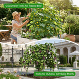 SHCCPPJ U-Shape Cucumber Trellis for Raised Bed 51.5''Lx50.5''Wx44''H