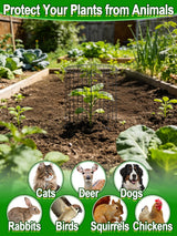 16''H x 11''Dia Plant Protectors from Animals - Full-Protection Anti-Rust Plant Cages with Covers for Outdoor Plants, Wire Garden Cloches for Plants Strawberry Keeping Chicken Rabbits Out, 4 Sets