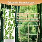 10 Pack 2ft Bamboo Trellis for Climbing Plants, Fan-Shaped Garden Support