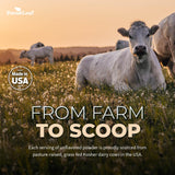 ForestLeaf Colostrum Powder 50% IgG Highest Pure Concentration, Grass Fed Colostrum Supplement for Gut Health, Immune Support and Muscle Recovery, Bovine Colostrum for Humans, Unflavored, 45 Servings