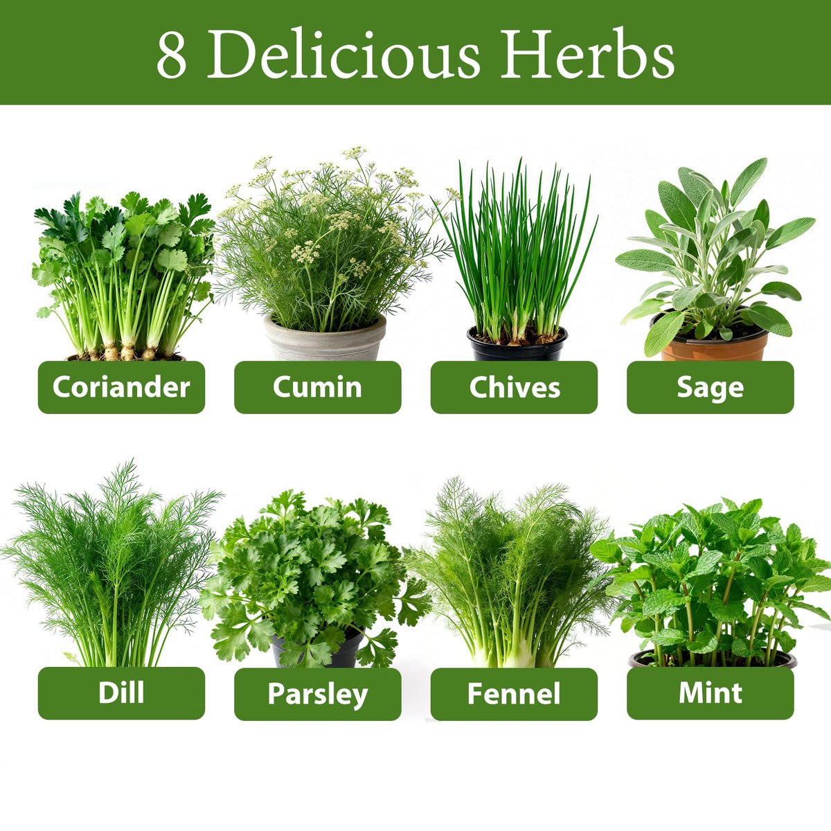 LUOJIBIE Indoor Herb Garden Kit, Complete Herb Starter Growing Kit with Seeds & Tools, Christmas Birthday Gifts for Women Men Mom Dad, House Warming New Home Kitchen Gifts for Girls Boys Plant Lovers