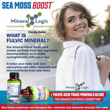 Power By Naturals Sea Moss Advanced with Black Seed Oil & Elderberry Capsules - Certified Organic Irish Sea Moss Capsules for Energy, Gut & Immune Support - Sea Moss Pills with (60+ Minerals) 60 Pills