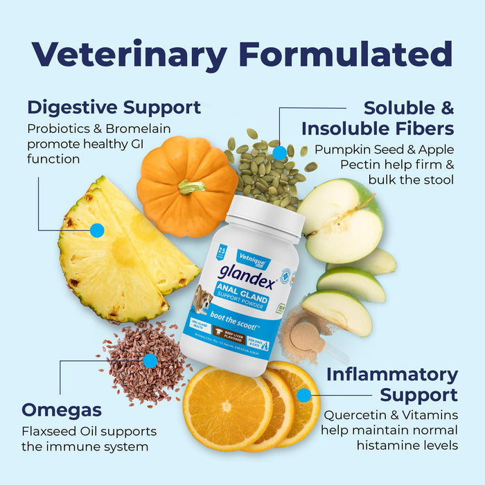 Glandex Dog Fiber Supplement Powder for Anal Glands with Pumpkin, Digestive Enzymes & Probiotics - Vet Recommended Healthy Bowels and Digestion - Boot The Scoot (Beef Liver, 2.5oz Powder)