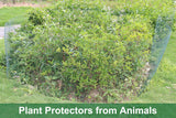 Mklsit Plant Protectors from Animals, Wire Plant Fence Cage, 32.8Ft x 16In