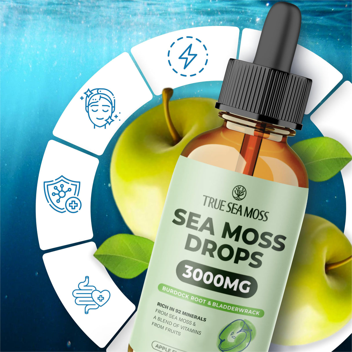 TrueSeaMoss 3000mg Irish Sea Moss Drops with Burdock Root & Bladderwrack for Digestive System & Muscle Recovery Support - 2 Fl Oz Apple NW1