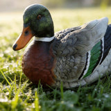 PTAHAN Mallard Duck Decor Single Outdoor Statue-Realistic Resin Floating Mallard Duck, Waterproof for Pond, Garden, Patio, Pool, Backyard Lawn Ornament. Also Great As Cake Topper.