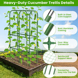 62in Tall Cucumber Trellis for Raised Bed, 34" L x 62" H Metal Garden Trellis for Climbing Plants Outdoor, U-Shape Vegetables Trellis Support for Squash Zucchini Peas Grape